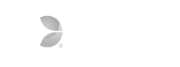 evolutiongaming game provider